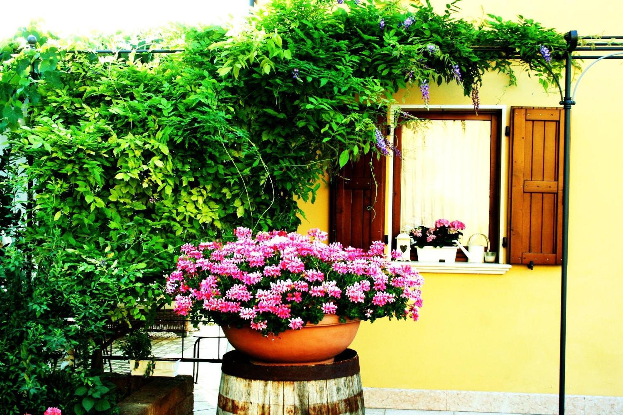 Agriturismo Ca Nuova Minerbio Екстериор снимка