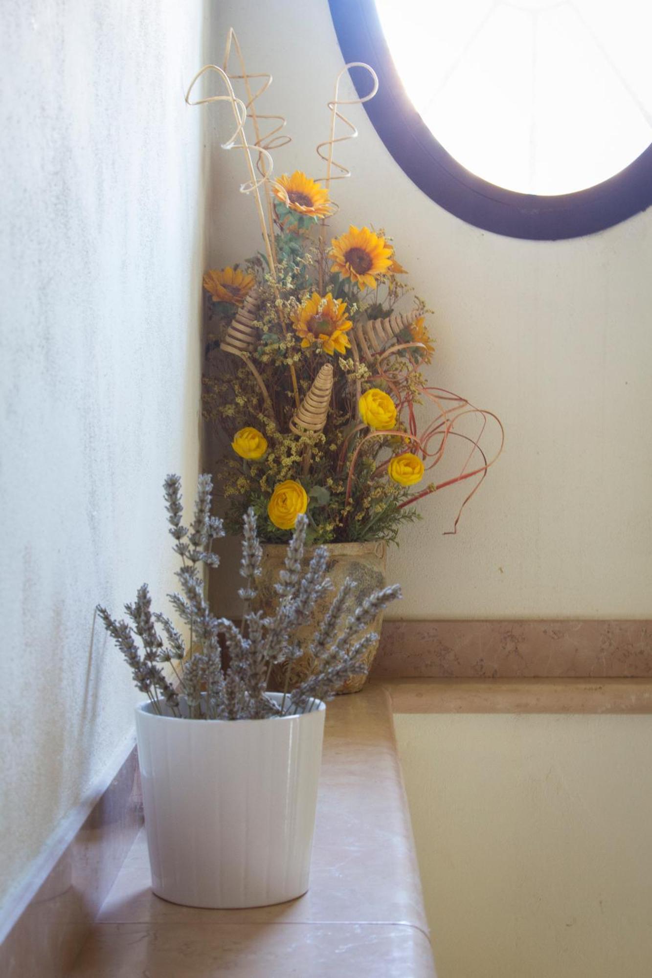 Agriturismo Ca Nuova Minerbio Екстериор снимка