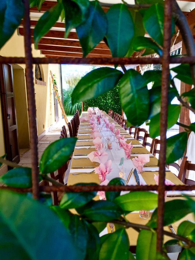 Agriturismo Ca Nuova Minerbio Екстериор снимка